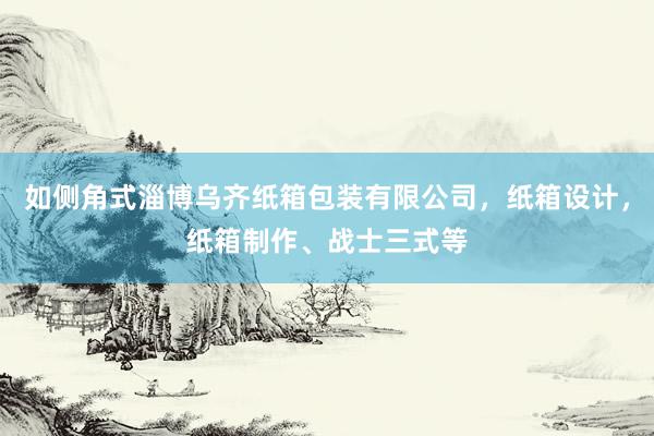如侧角式淄博乌齐纸箱包装有限公司,纸箱设计,纸箱制作、战士三式等