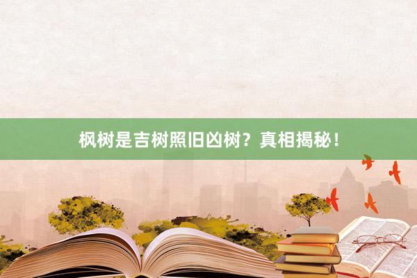 枫树是吉树照旧凶树？真相揭秘！