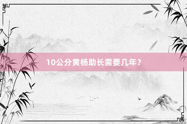 10公分黄杨助长需要几年？