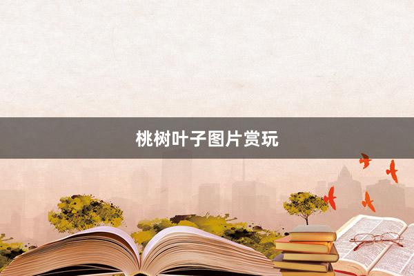 桃树叶子图片赏玩