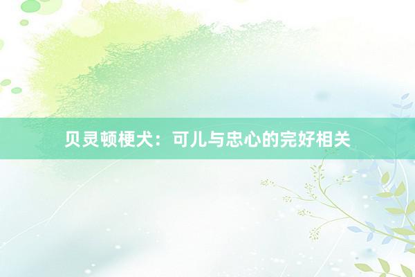 贝灵顿梗犬:可儿与忠心的完好相关