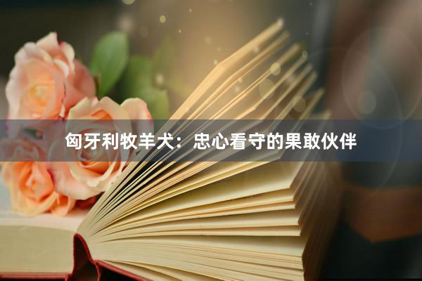 匈牙利牧羊犬：忠心看守的果敢伙伴