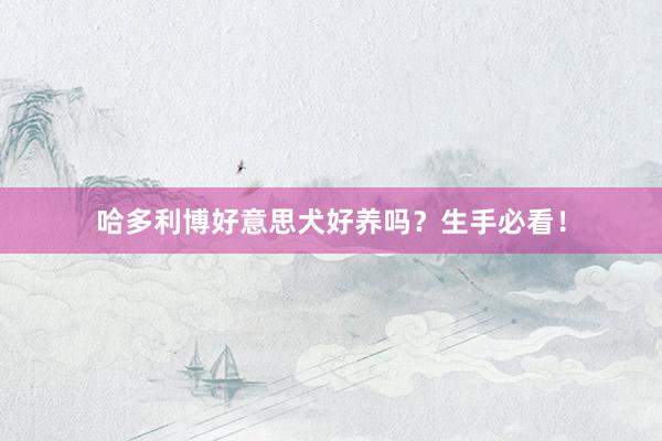 哈多利博好意思犬好养吗?生手必看!