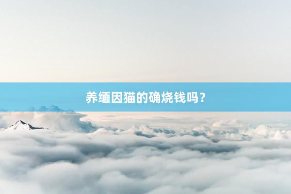 养缅因猫的确烧钱吗？