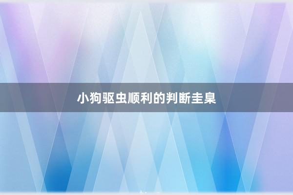 小狗驱虫顺利的判断圭臬